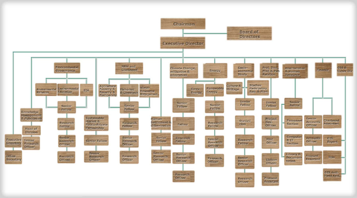 BCAS Organogram